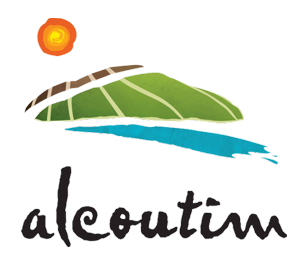 Logo entidade 2
